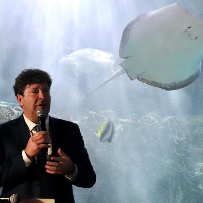 Imagen De Whatsapp 2024 06 21 A Las 00.15.13 946959e6