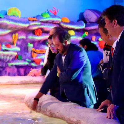 Imagen De Whatsapp 2024 06 21 A Las 13.06.31 1ce0fcca